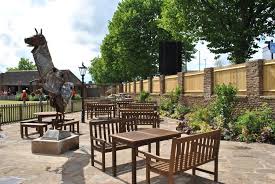 Image result for Black Swan Crown Green Bowling Club