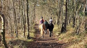 Image result for Ayr Riding Club