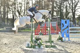 Image result for Bookham Riding School
