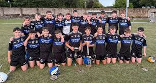 Image result for Patrick Sarsfield Gaelic Athletic Club