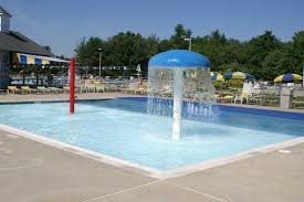 Image result for Leek Swimming Club