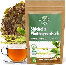 Attēlu rezultāti vaicājumam “Orthilia secunda fruit”