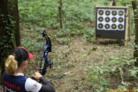 Image result for White Mark Bowmen Field Archery Club