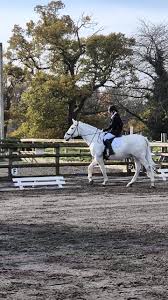 Image result for Thames Valley Riding Club