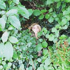 Image result for Shottermill Cricket Club