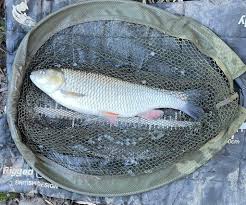 Image result for Plough Angling Society