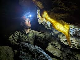 Image result for Venutios Caving Group