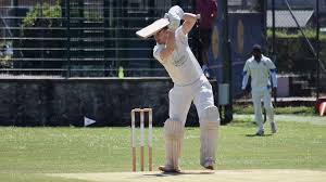 Image result for Yelverton Bohemians Cricket Club