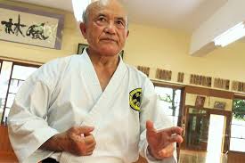 Image result for Zen Shin Seicho Do Adult Karate