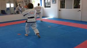 Image result for Tang Sou Dao Ren Yi Wu Kwan - Houghton & Wyton