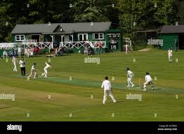 Image result for Bradfield Cricket Club