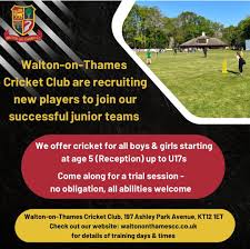 Image result for Walton Cricket Club