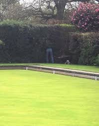 Image result for East Bergholt Bowls Club