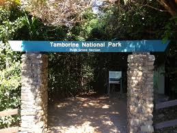 「Mt. Tamborine」的圖片搜尋結果