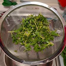 Attēlu rezultāti vaicājumam “Honckenya peploides fruit”