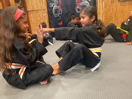 Image result for Bushido Academy Of Martial Arts (Bama)