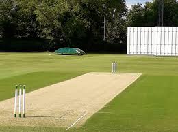 Image result for Billingham Synthonia Cricket Club