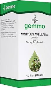 Attēlu rezultāti vaicājumam “Corylus avellana bud”