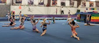 Image result for Vernon Park Gymnastics