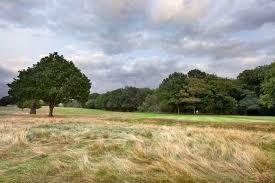 Image result for Richmond Park Golf Club