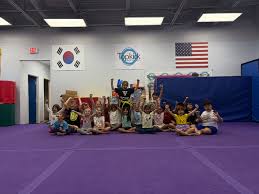 Image result for TopKick Martial Arts Center Leesburg