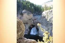 Attēlu rezultāti vaicājumam “Tubifera montana”