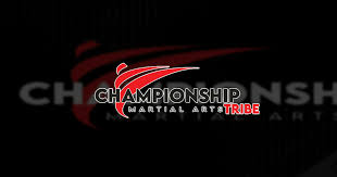 Image result for Championship Martial Arts Winter Springs