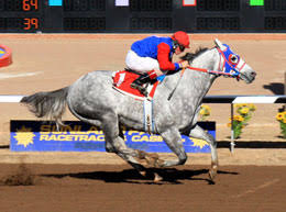 SUNLAND PARK, NM—DECEMBER 11, 2010—Tony and Molly Doughtie\u0026#39;s royally bred Whathaveigottado rolled to a one length victory in the second of four trials ... - WHATHAVEIGOTTADO_SWDT