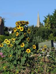 Image result for Bourton Mill Health & Leisure Clubs