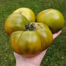 Afbeeldingsresultaat voor grubbs mystery green tomato