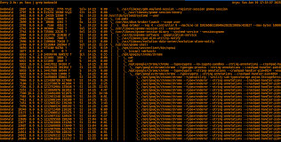 Image result for Linux watch