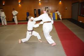 Image result for Kyokushinkai Karate Bradford