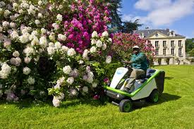 Image result for etesia tehron