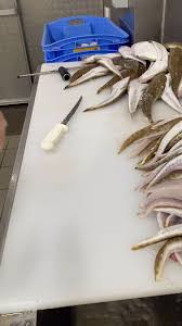 Image result for Platycephalus richardsoni