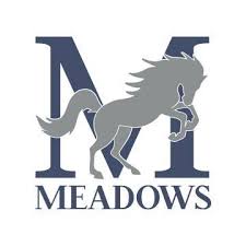 Image result for Meadows Sports Association