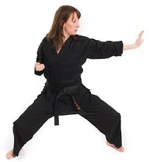 Image result for Vision Martial Arts