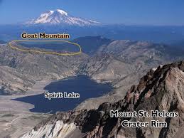 Image result for St Helens Miners