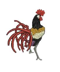 Image result for Croesyceiliog Cricket Club