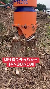 Image result for dipperfox tehron