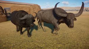 Image result for Wild Water Planet