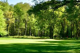 Image result for Chorleywood Golf Club Limited