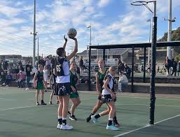 Image result for Ledbury Magpies Netball Club