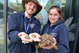 Image result for Biggleswade Sc