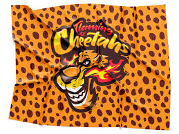 Image result for Cheetahs Softball Team