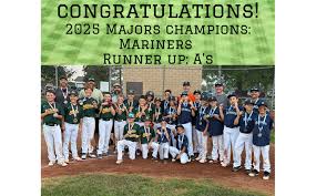 Image result for Allen Valley Quoits League