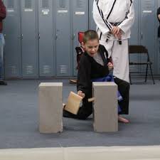 Image result for Hetton and Murton Karate Academy