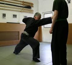 Image result for Peter Kings Dojo
