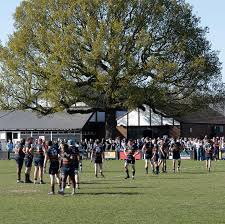 Image result for Colfeian Sports Club