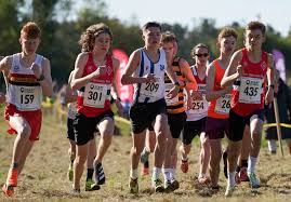 Image result for Alnwick Harriers