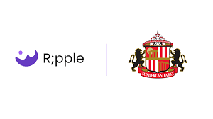 Image result for Hendy Afc